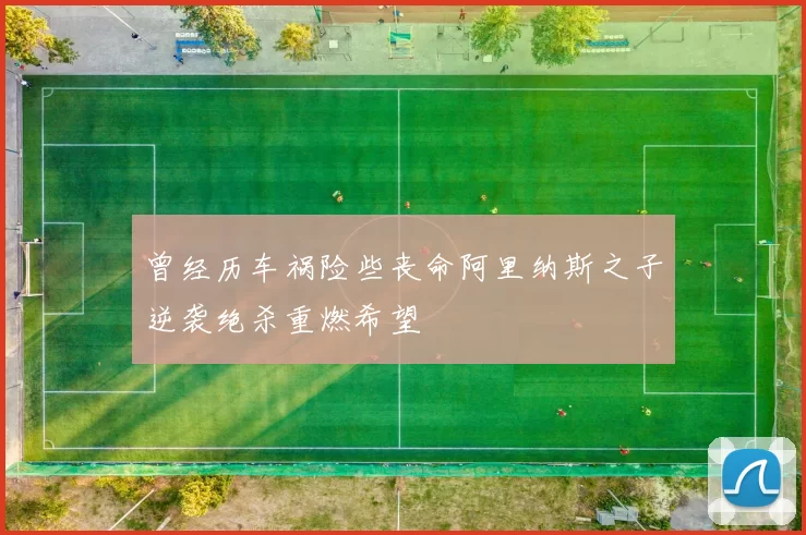 曾经历车祸险些丧命阿里纳斯之子逆袭绝杀重燃希望